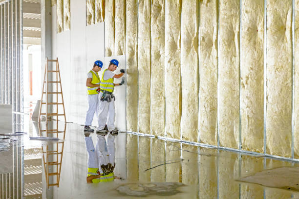Best Residential Insulation in Elmsford, NY